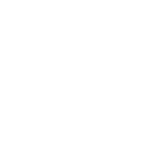 bdm