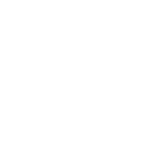 vdv