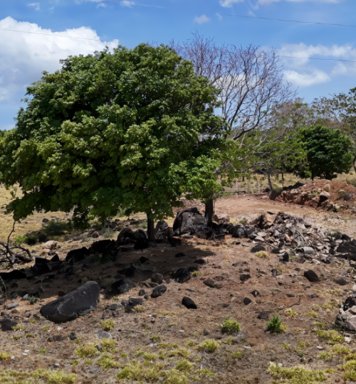 La Arboleda - Bagaces - Guanacaste - Costa Rica