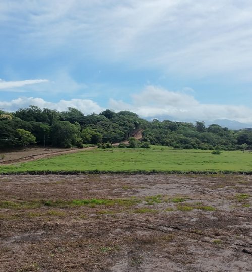 Hacienda Playa Blanca - Punta Morales - Costa Rica